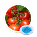 Dr Aid Lowest white water soluble npk 19 19 19 compound fertilizer price for tomato